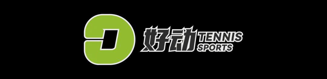 乐鱼体育登录入口-史上第二高价格 美网冠军奖杯被拍卖 前世界第一破产后 荣耀也成抵债品